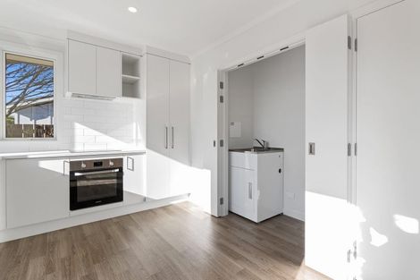 Photo of property in 11 Wilson Street, Hamilton East, Hamilton, 3216