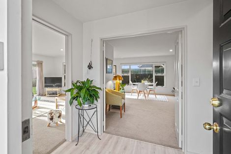 Photo of property in 206a Knowles Street, St Albans, Christchurch, 8052