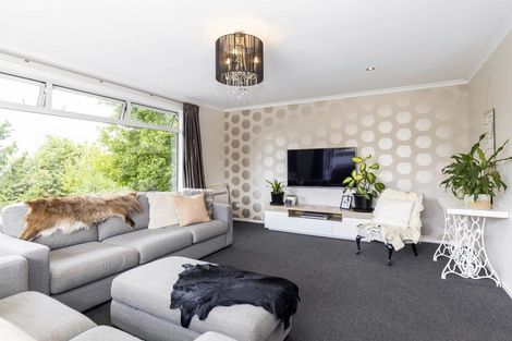 Photo of property in 11a Spring Road, Gleniti, Timaru, 7910