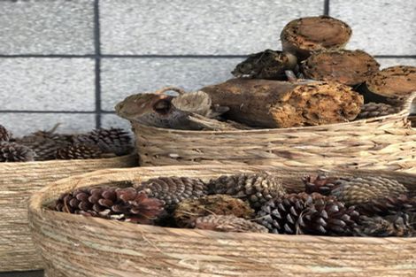 Photo of property in 360a Longbush Road, Hinakura, Masterton, 5884