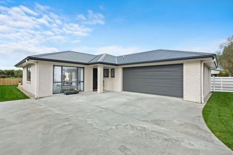 Photo of property in 89b Park Road, Katikati, 3129