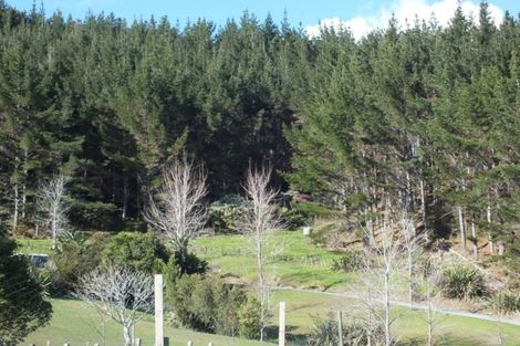 Photo of property in 69d George Street, Hikurangi, 0114