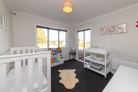 Photo of property in 241 Te Ngaio Road, Bunnythorpe, Palmerston North, 4478