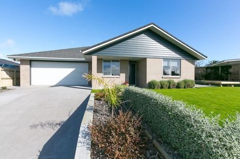 Photo of property in 87 Dillon Drive, Bell Block, New Plymouth, 4312