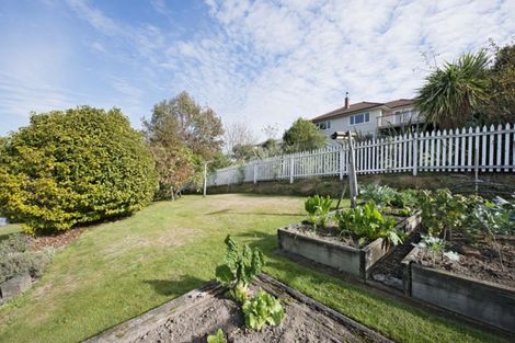 Photo of property in 78a Kawai Street, Nelson South, Nelson, 7010