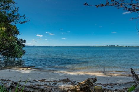 Photo of property in 317 Pahoia Road, Whakamarama, Tauranga, 3172