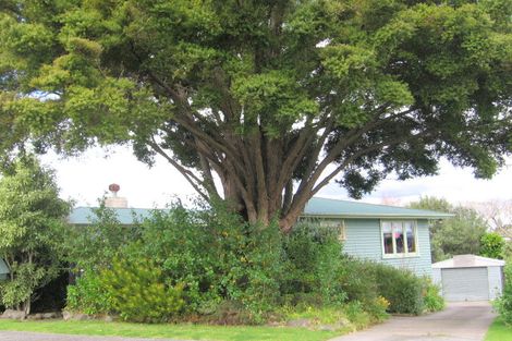 Photo of property in 29 Woodford Avenue, Brookfield, Tauranga, 3110