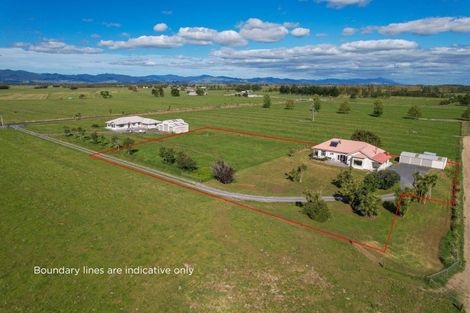 Photo of property in 168b Bush Road, Pipiroa, Thames, 3574