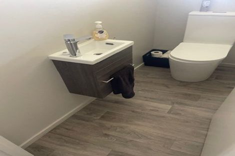 Photo of property in 201 Manuherikia Road, Letts Gully, Alexandra, 9393