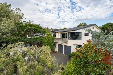 Photo of property in 3 Aston Place, Richmond, 7020