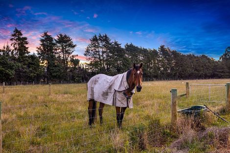 Photo of property in 527 Browns Rock Road, Burnt Hill, Oxford, 7495