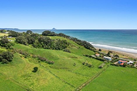 Photo of property in 59 Pohutukawa Drive, Waiotahe, Opotiki, 3198