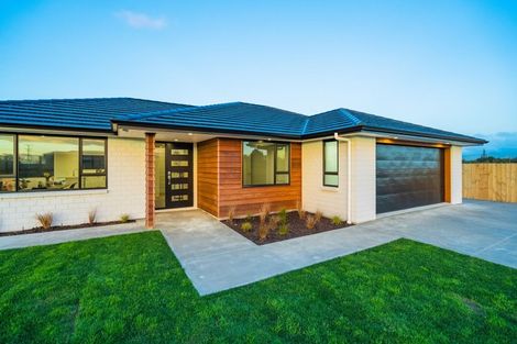 Photo of property in 239 Rangiuru Road, Otaki, 5512