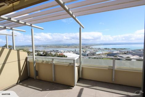 Photo of property in Northridge Apartments, 6/24 Hospital Terrace, Hospital Hill, Napier, 4110