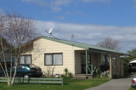 Photo of property in 157a Eversham Road, Mount Maunganui, 3116