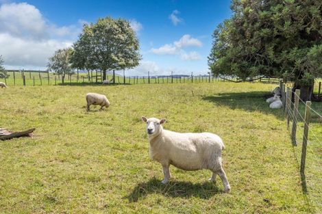 Photo of property in 865/853 Puketarata Road, Otorohanga, 3974