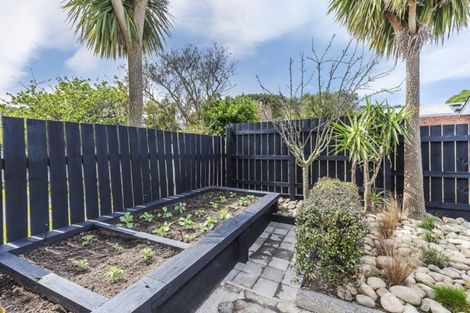 Photo of property in 17 Picton Avenue, Newtown, Wellington, 6021