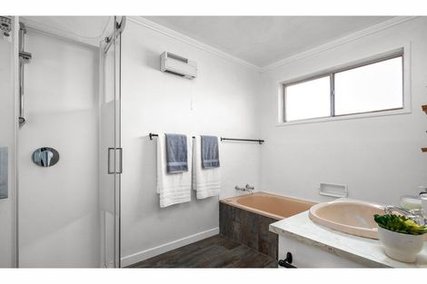 Photo of property in 132 Ashworth Street, Alexandra, 9320