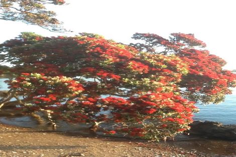 Photo of property in 136 Reotahi Road, Whangarei Heads, Whangarei, 0174