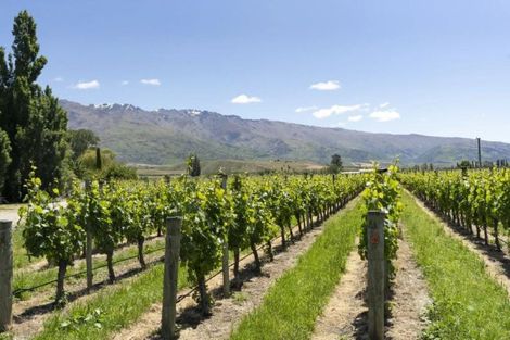 Photo of property in 1034 Luggate-cromwell Road, Mount Pisa, Cromwell, 9383