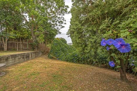 Photo of property in 24 Harris Street, Kaiti, Gisborne, 4010