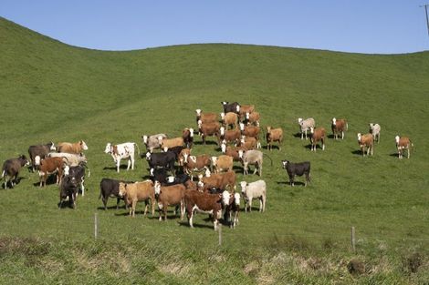 Photo of property in 2472 Opaki Kaiparoro Road, Eketahuna, 4994