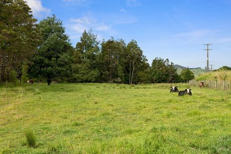 Photo of property in 150 Dimmock Road, Waitakaruru, Ngatea, 2471