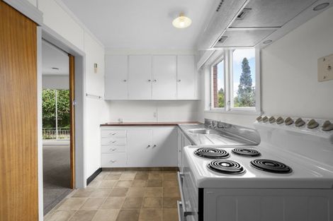 Photo of property in 24 Wake Street, Chartwell, Hamilton, 3210