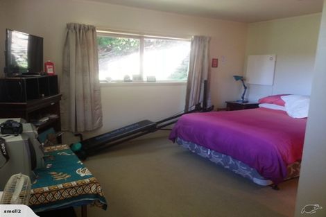 Photo of property in 1 Logan Road, Paeroa, 3600