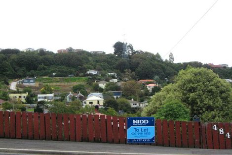 Photo of property in 484 South Road, Calton Hill, Dunedin, 9012