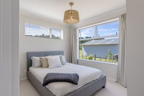 Photo of property in 422 Whangaehu Road, Porangahau, 4293
