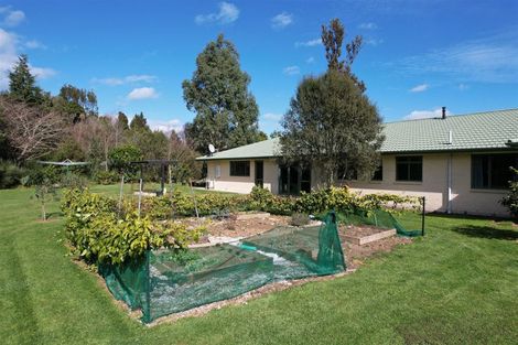 Photo of property in 20 Wakefield Road, Levin, 5571