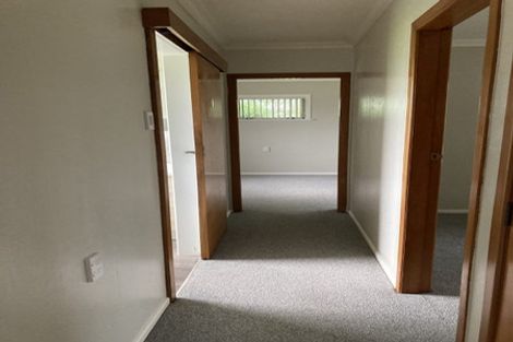 Photo of property in 147 Liverpool Street, Levin, 5510