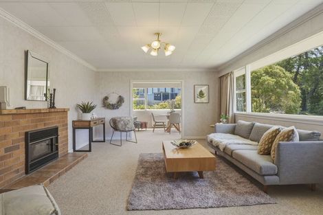 Photo of property in 1 Ferntree Drive, Wakari, Dunedin, 9010