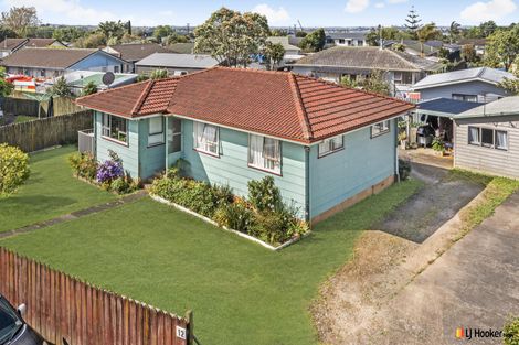 Photo of property in 12 Hinerau Street, Henderson, Auckland, 0612