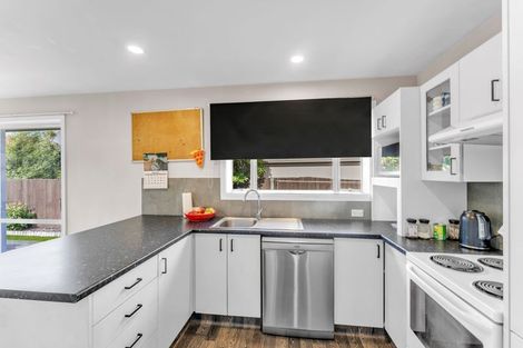 Photo of property in 42 Charles Upham Avenue, Hillmorton, Christchurch, 8025