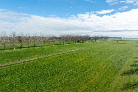 Photo of property in 258 Holland Road, Puketaha, Hamilton, 3286
