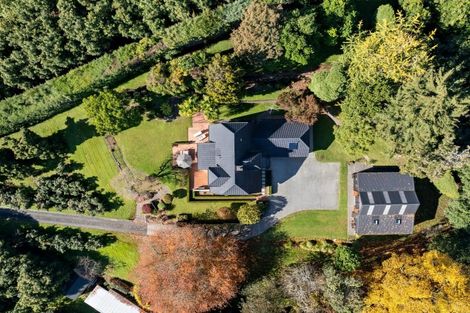 Photo of property in 47 Plummers Point Road, Whakamarama, Tauranga, 3172