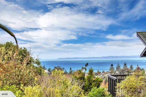 Photo of property in 97 Glamorgan Drive, Torbay, Auckland, 0630