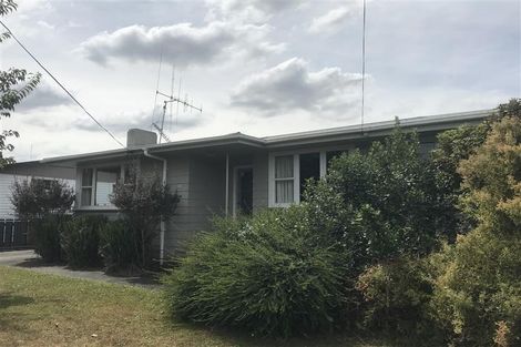 Photo of property in 56 Fitzroy Avenue, Fitzroy, Hamilton, 3206