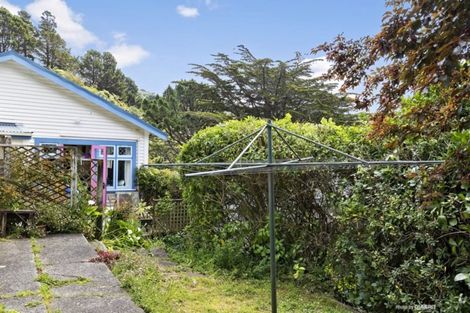 Photo of property in 47 Durham Street, Aro Valley, Wellington, 6021