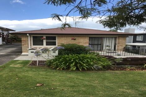 Photo of property in 63 Sixth Avenue, Tauranga, 3110