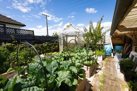 Photo of property in 21 Hall Street, Woodville, 4920