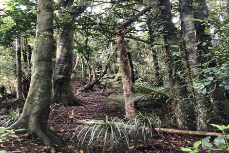 Photo of property in 299 Pekanui Road, Puketotara, Te Awamutu, 3876