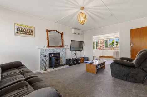 Photo of property in 117 Tirau Street, Putaruru, 3411