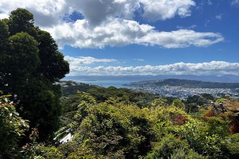 Photo of property in 19 Highbury Crescent, Aro Valley, Wellington, 6012