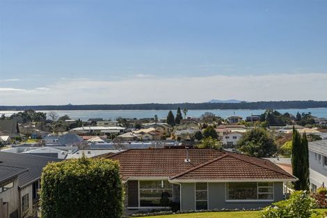 Photo of property in 10 Hazel Terrace, Otumoetai, Tauranga, 3110