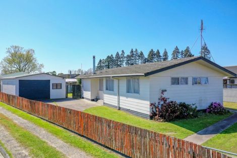 Photo of property in 6 Matipo Place, Edgecumbe, 3120
