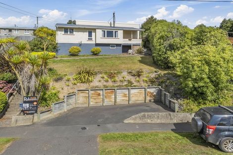 Photo of property in 113 Mulford Street, Concord, Dunedin, 9018