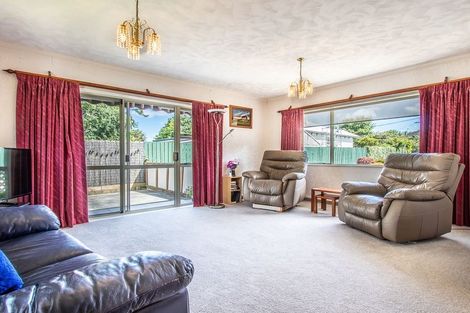 Photo of property in 16b Manchester Street, Levin, 5510